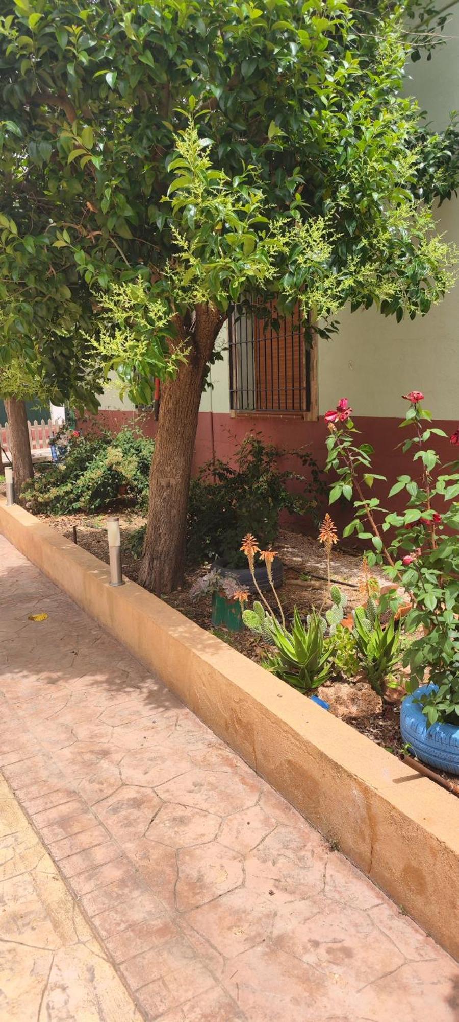 Casa Rural El Tejar San Clemente  Exteriér fotografie