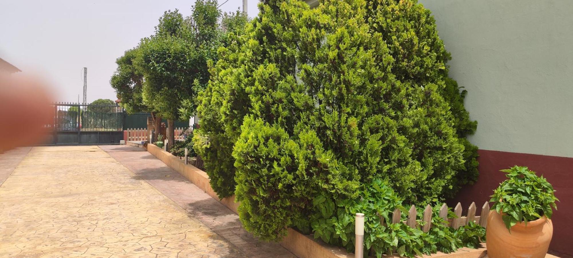 Casa Rural El Tejar San Clemente  Exteriér fotografie