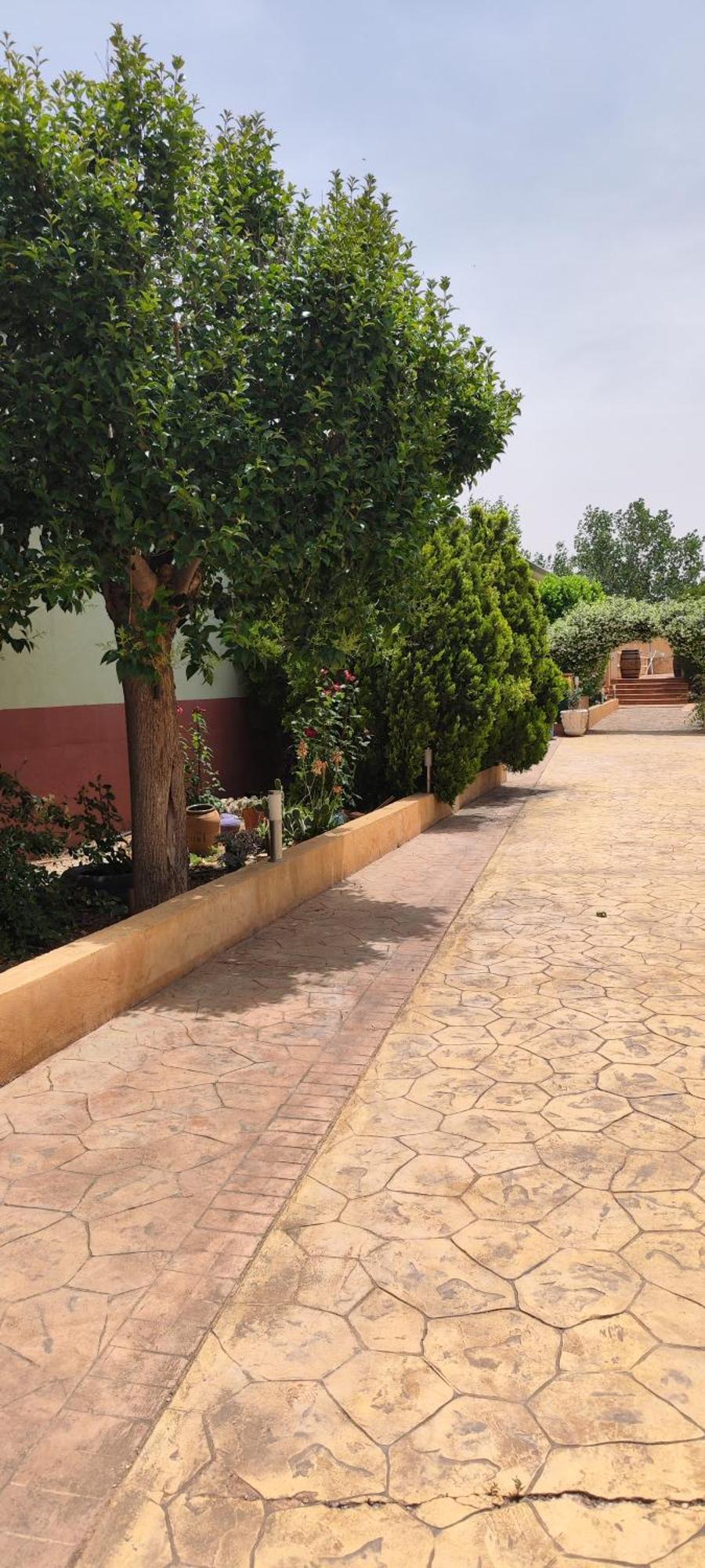 Casa Rural El Tejar San Clemente  Exteriér fotografie