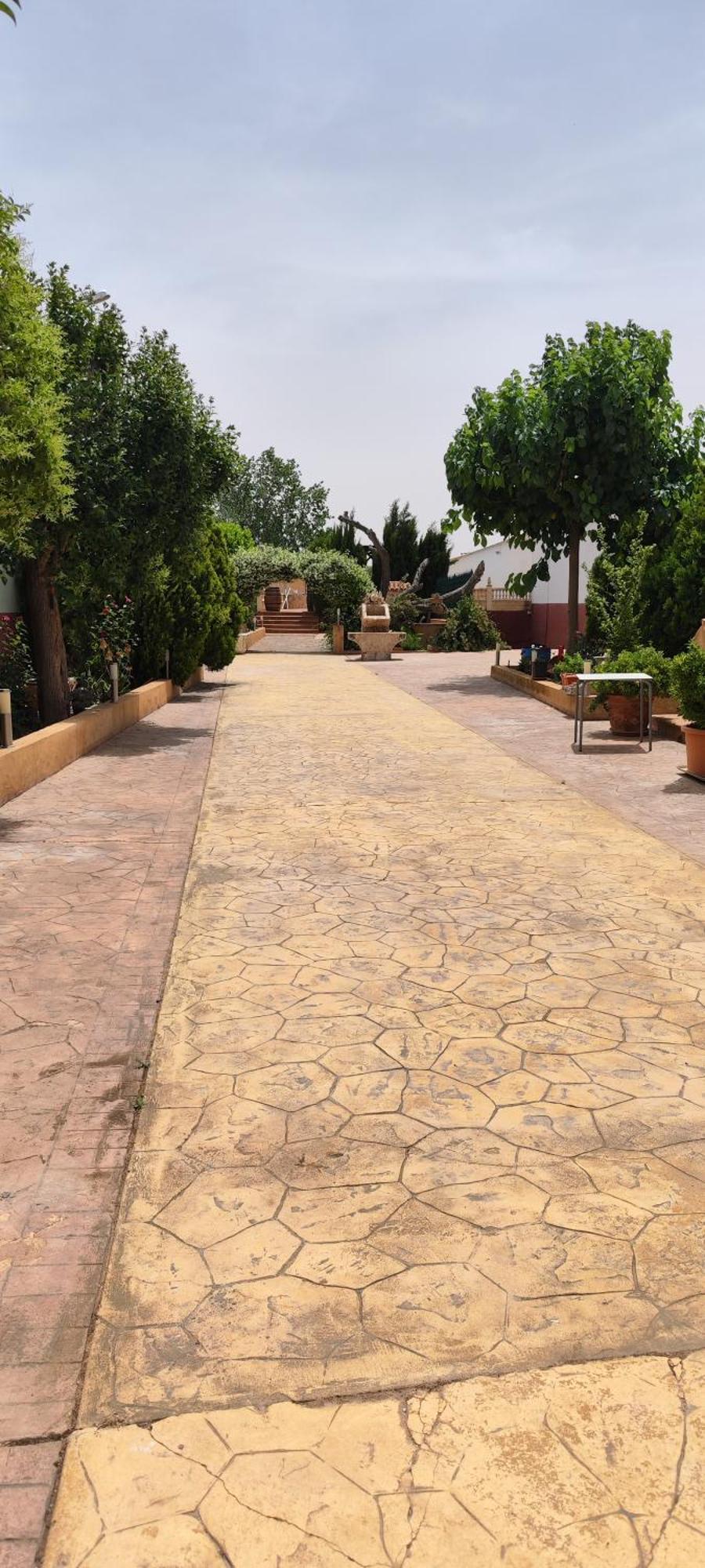 Casa Rural El Tejar San Clemente  Exteriér fotografie