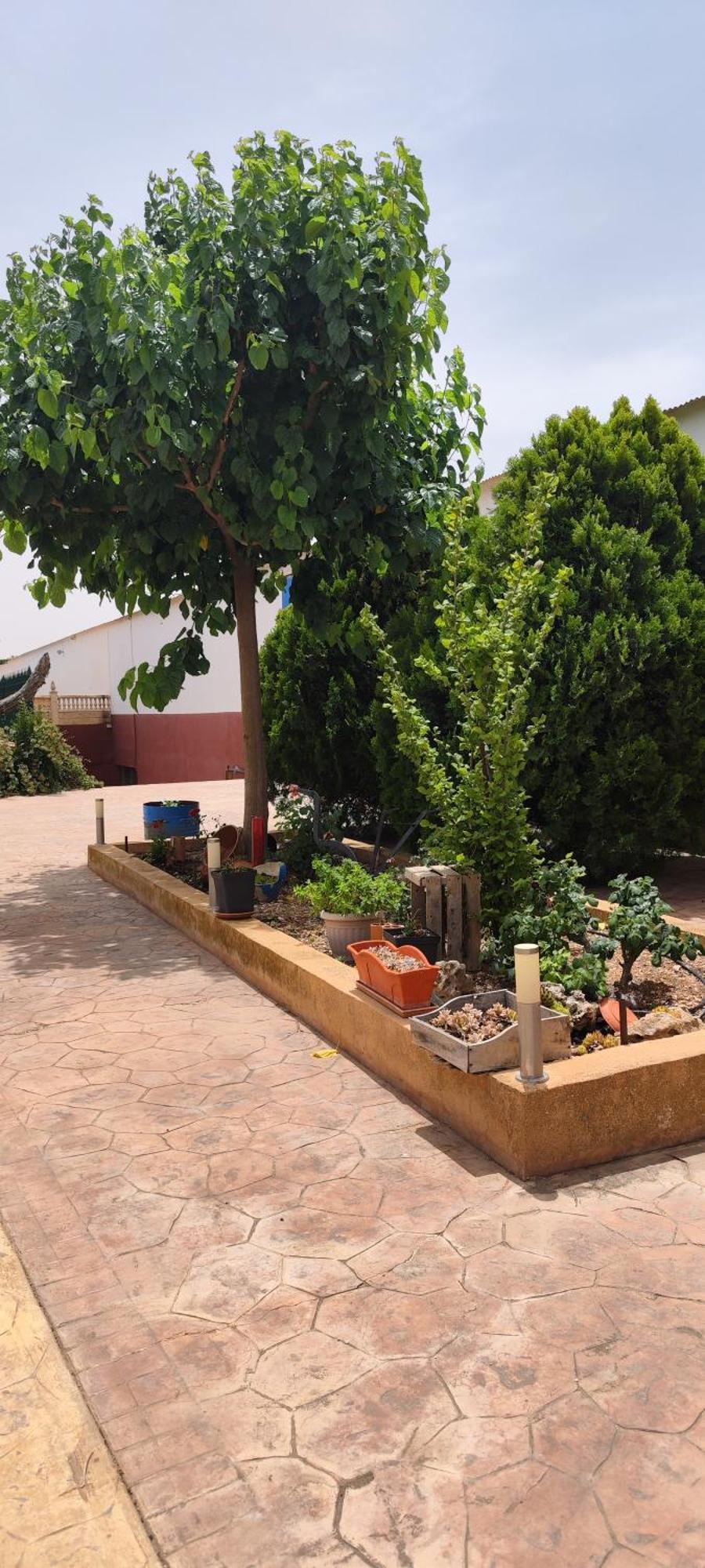 Casa Rural El Tejar San Clemente  Exteriér fotografie